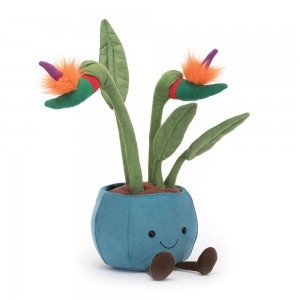 Pluszaki Jellycat Amuseables Bird of Paradise,38cm x 17cm x 14cm Zielone | Polska EFRY-81745