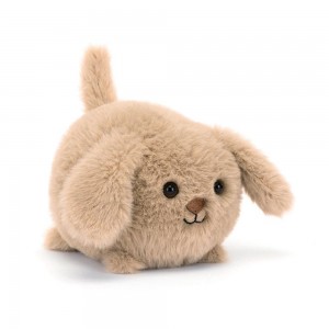 Pluszaki Jellycat Caboodle Puppy,10cm x 9cm x 11cm Beżowe | Polska CTOA-24507
