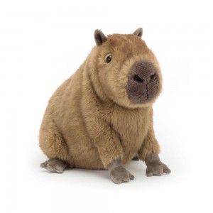 Pluszaki Jellycat Clyde Capybara,21cm x 17cm x 24cm Brązowe | Polska BCFI-57230