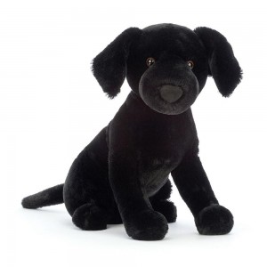 Pluszaki Jellycat Pippa Black Labrador,9.4in x 5.1in x 8.3in Czarne | Polska NIWL-25134