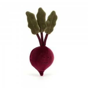 Pluszaki Jellycat Vivacious Vegetable Beetroot,21cm x 8cm x 8cm Fioletowe | Polska HFXB-10482