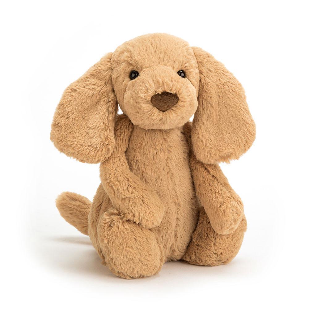 Pluszaki Jellycat Bashful Toffee Puppy,12.2in x 4.7in x 3.5in Brązowe | Polska  DHZE-56371