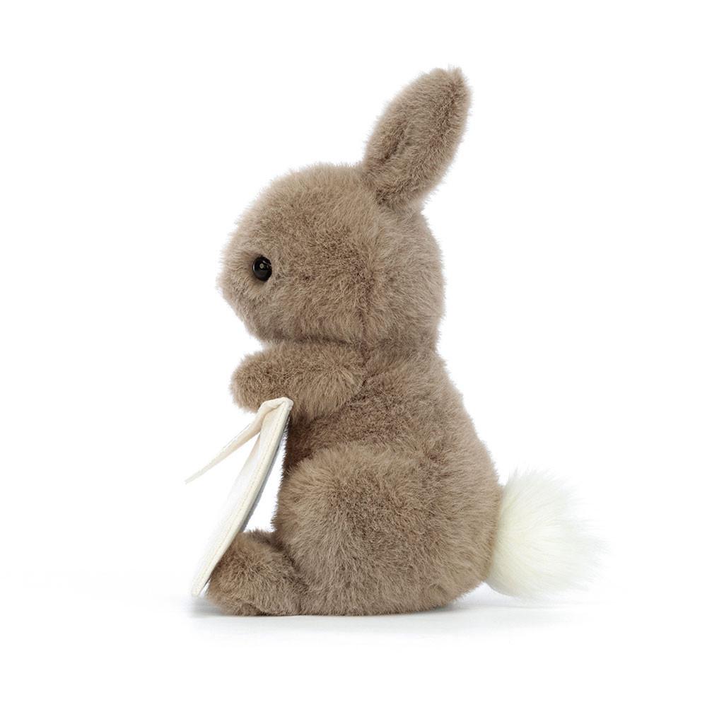 Pluszaki Jellycat Messenger Króliczek,19cm x 12cm x 12cm Brązowe | Polska  XTCK-42670